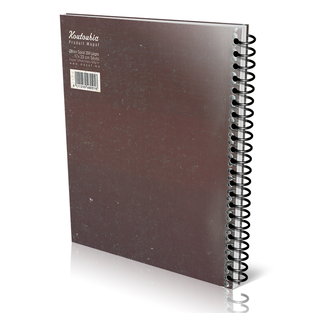 Cahier 384 Pages / 200 Feuilles Petit Format Spiral